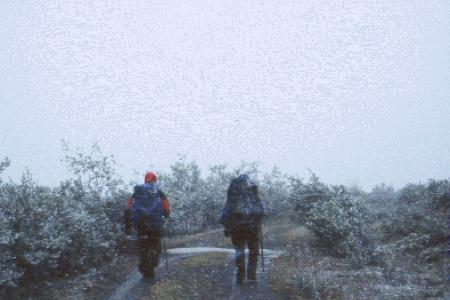 Walking through driving snow